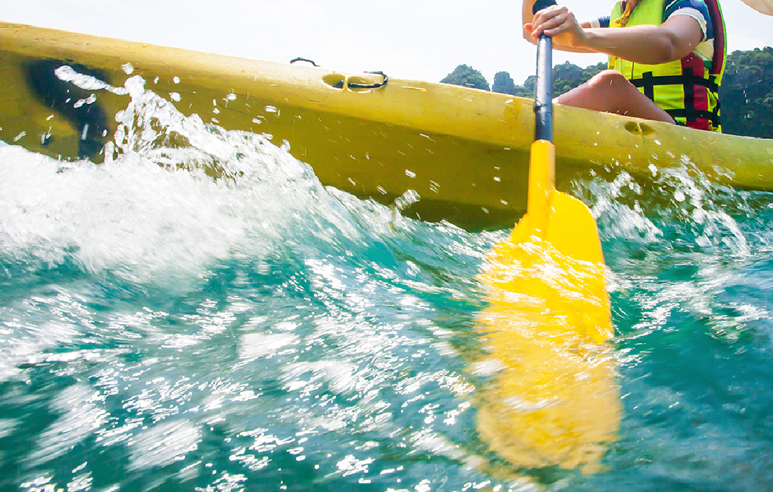 気づきを科学的に理解し身につける シーカヤック