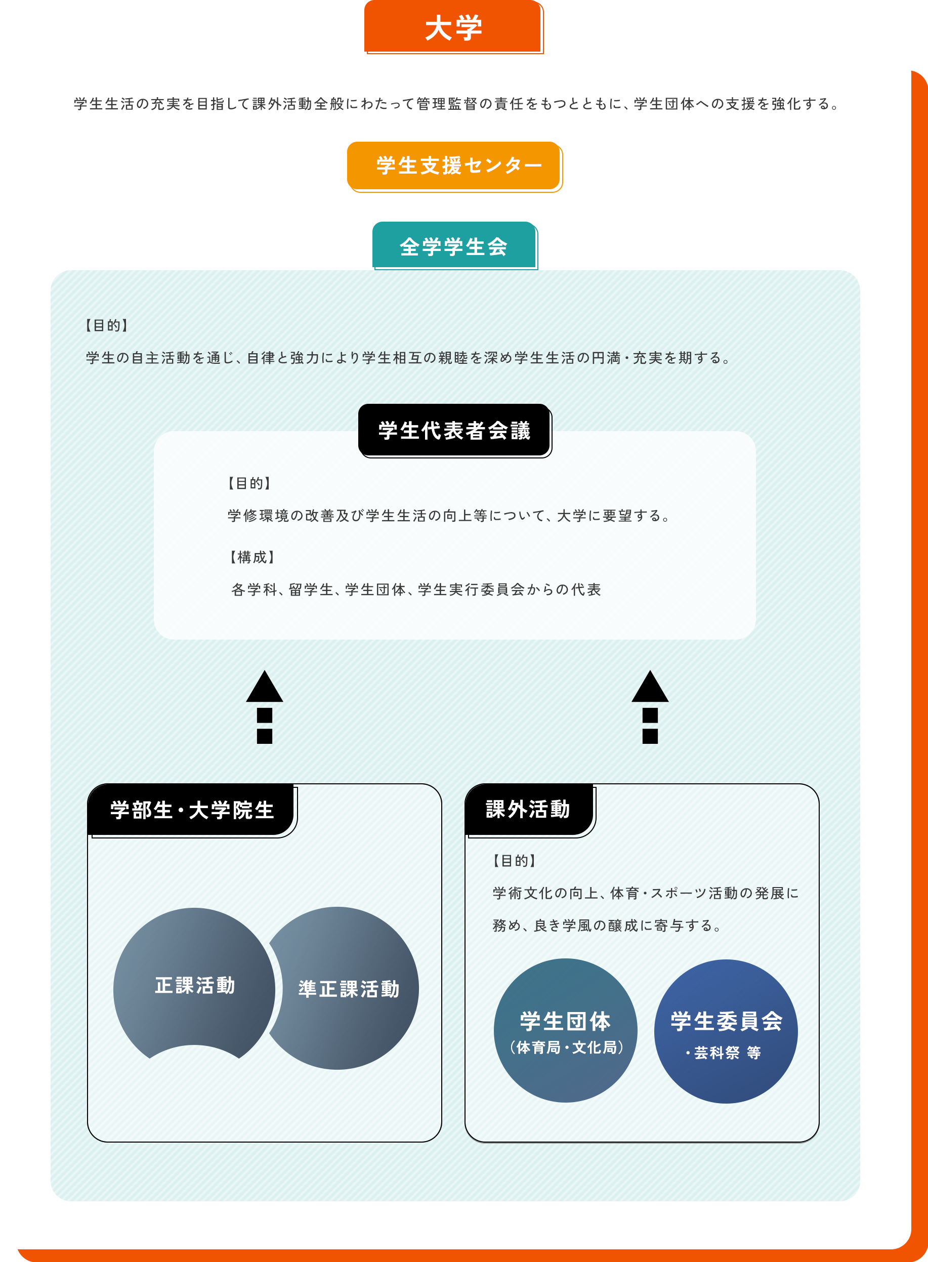 全学学生会の組織図 画像
