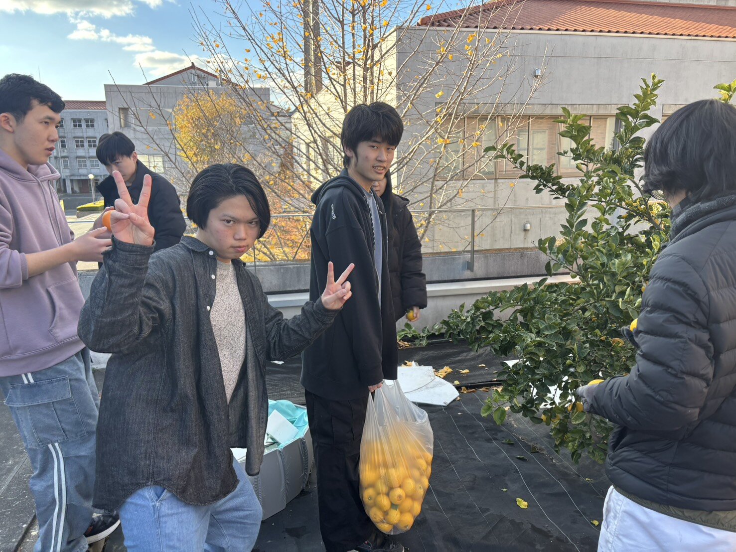 S__43761701.jpgのサムネイル画像