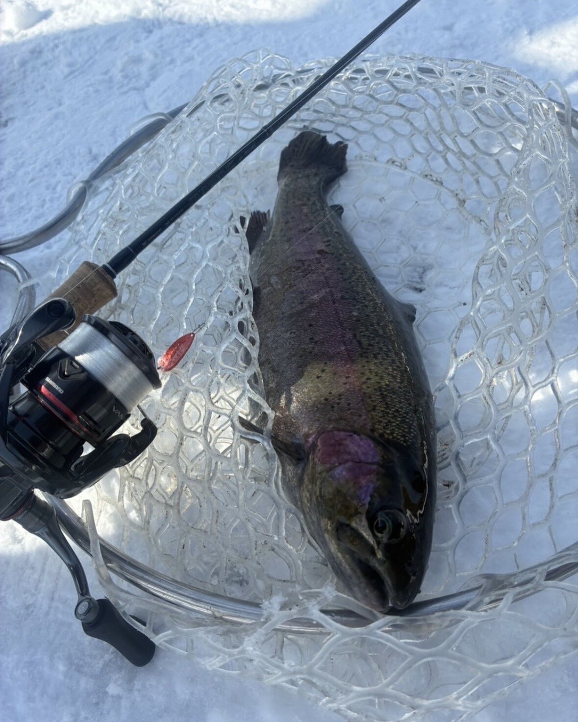 今日は極極極寒の中エリアトラウトに行ってきました！！