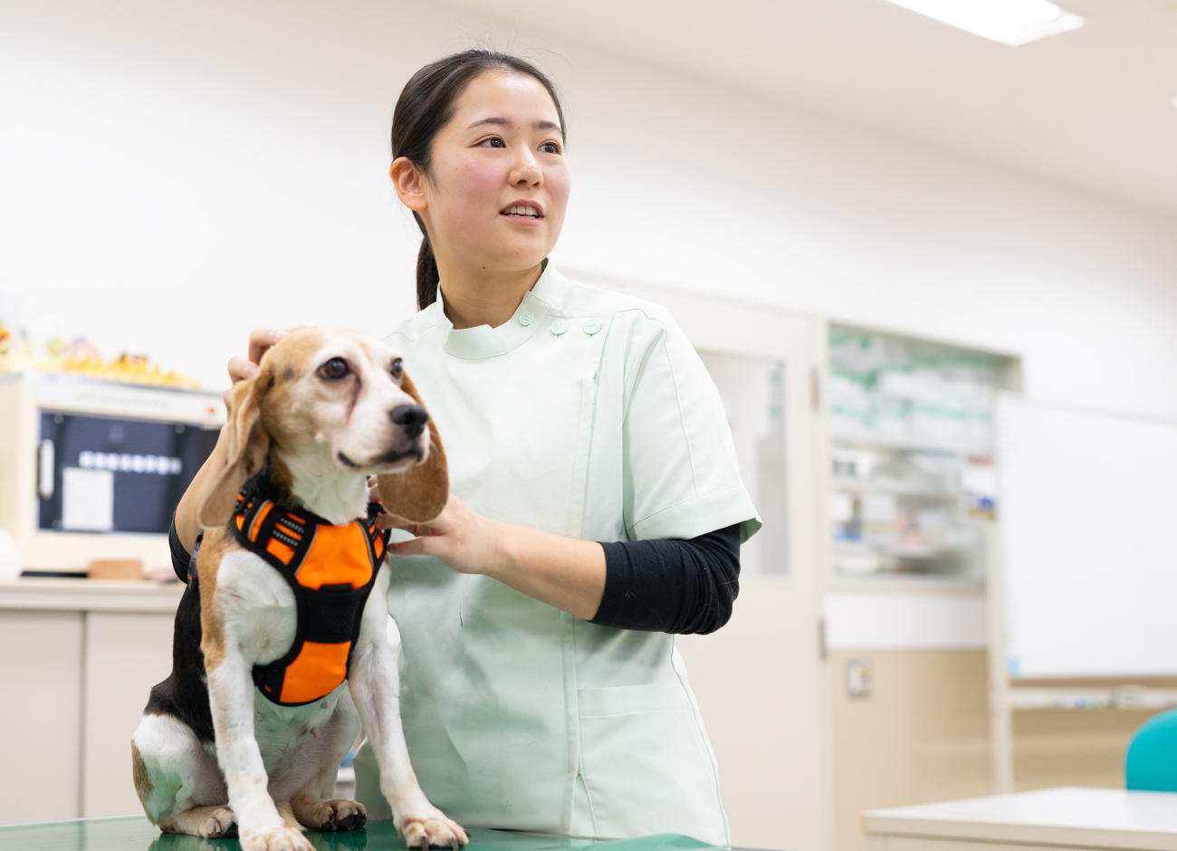 動物生命科学科のイメージ画像